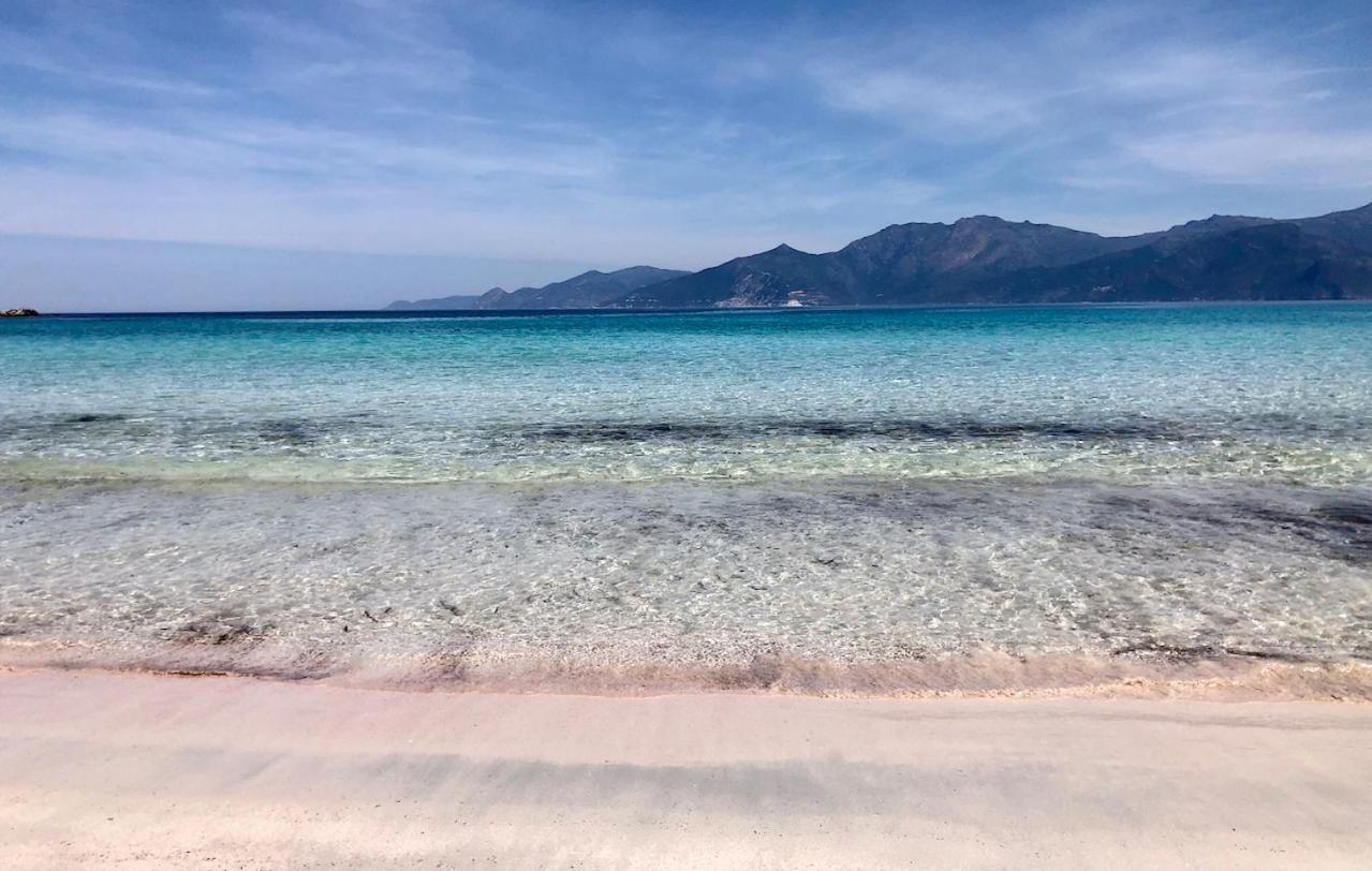 Studio, Vue Sur Mer Et Montagne Saint-Florent  Exteriér fotografie